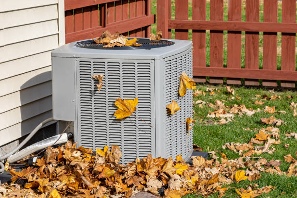 Best HVAC System Installation  in Meadow Oaks, FL